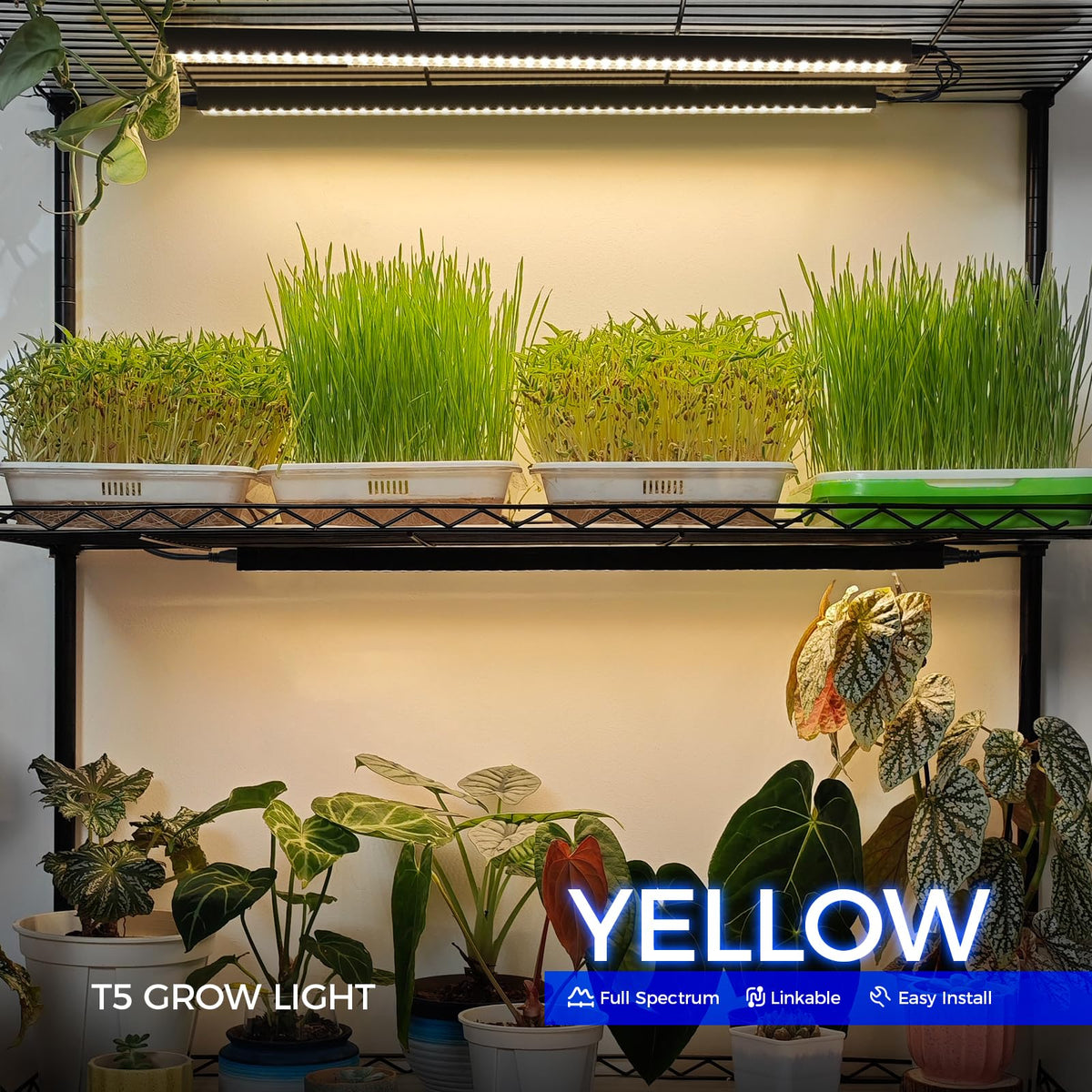 Individual switch on Barrina fixture enables per-plant lighting control