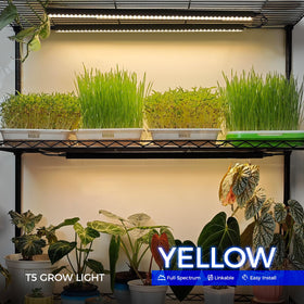 Individual switch on Barrina fixture enables per-plant lighting control