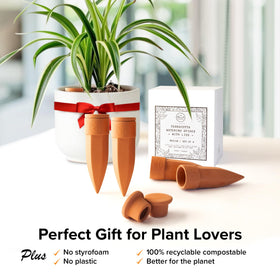 Indoor and outdoor use: spikes ideal for pots and hanging baskets.