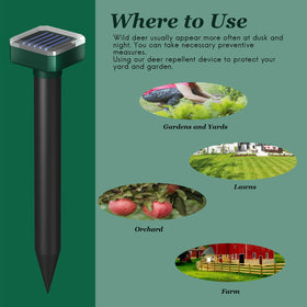 INENNT portable, cord-free design suitable for gardens, patios, camping.