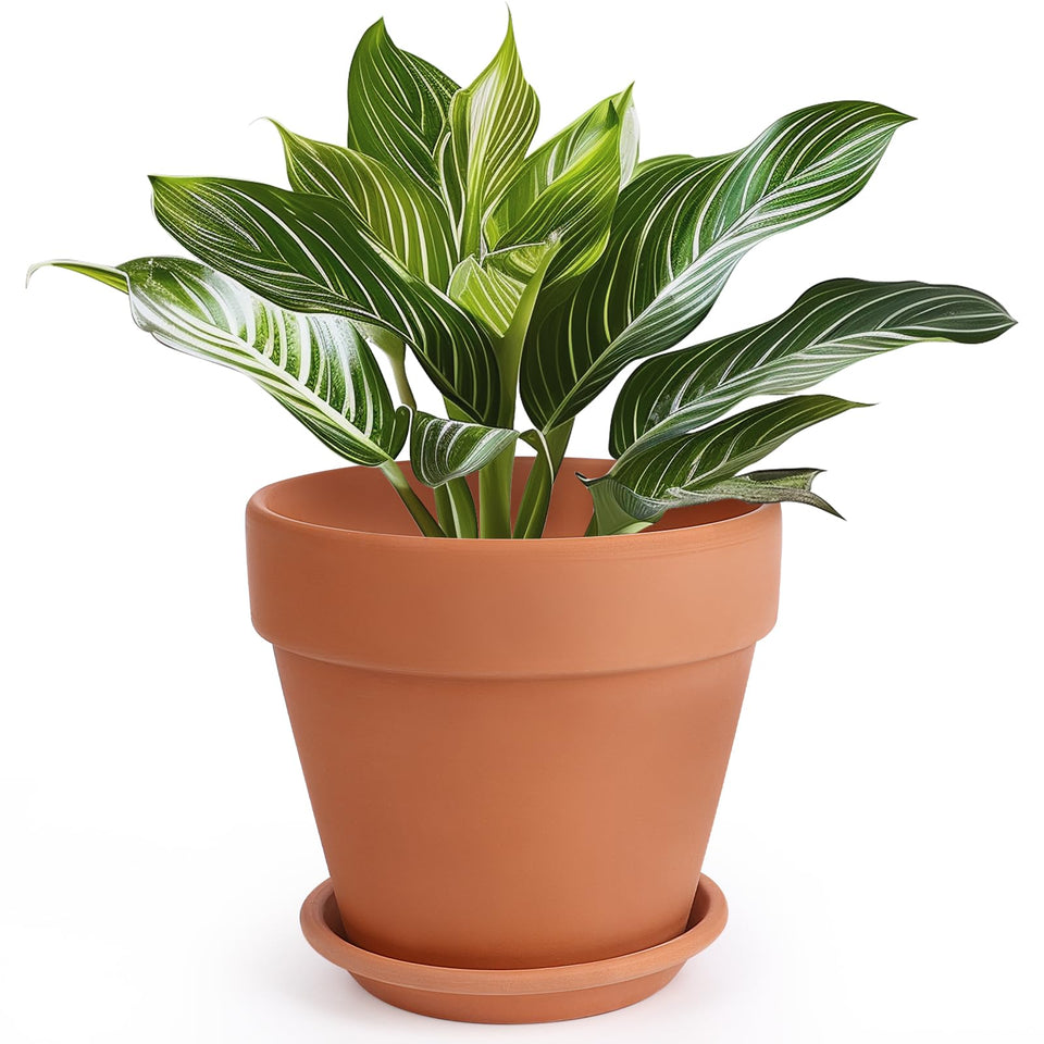 INGOFIN Terracotta Pot 10inch top view shows breathable design for healthy roots