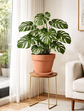 INGOFIN 10-inch terracotta pot in home decor scene for stylish display