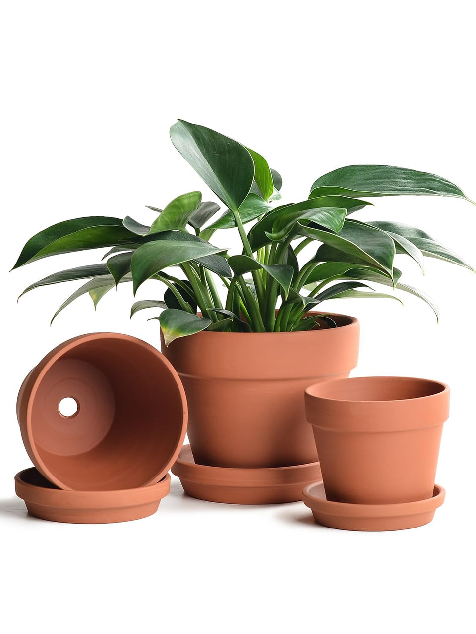 INGOFIN terracotta pot 5inch closeup showing breathable clay for healthy root growth.
