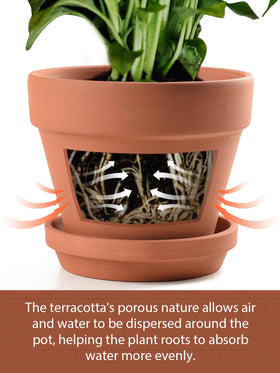 INGOFIN terracotta pot 7inch display suitable for flowers and small plants.