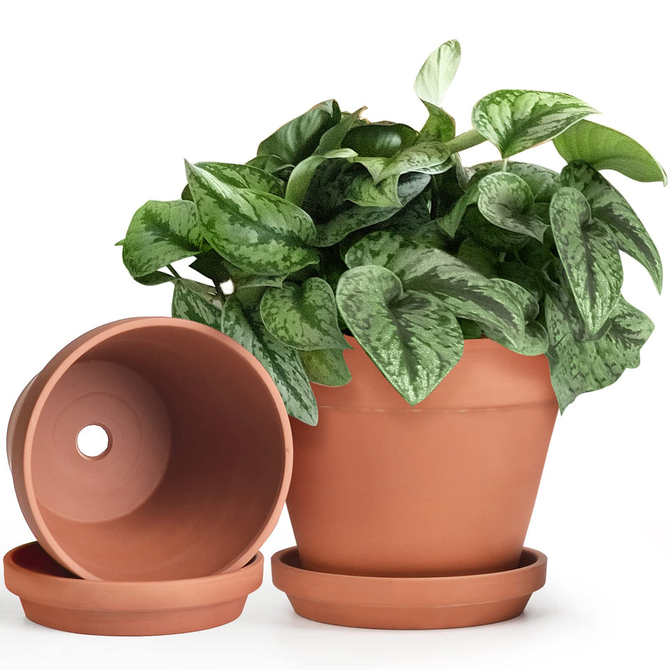 INGOFIN Terracotta pot with drainage hole supports healthy roots and watering control