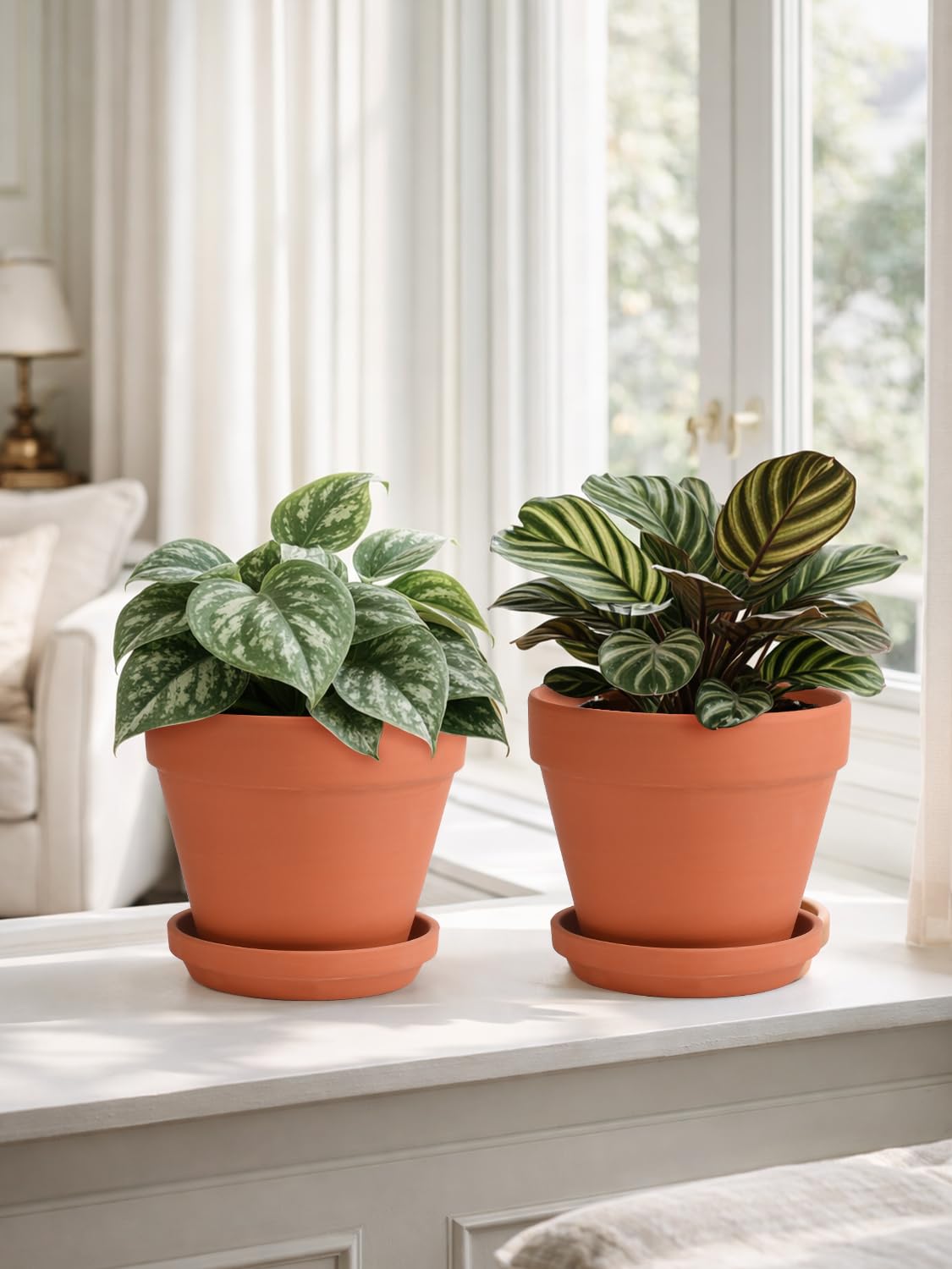 INGOFIN 2-pack terracotta pots offer versatile indoor and outdoor planting