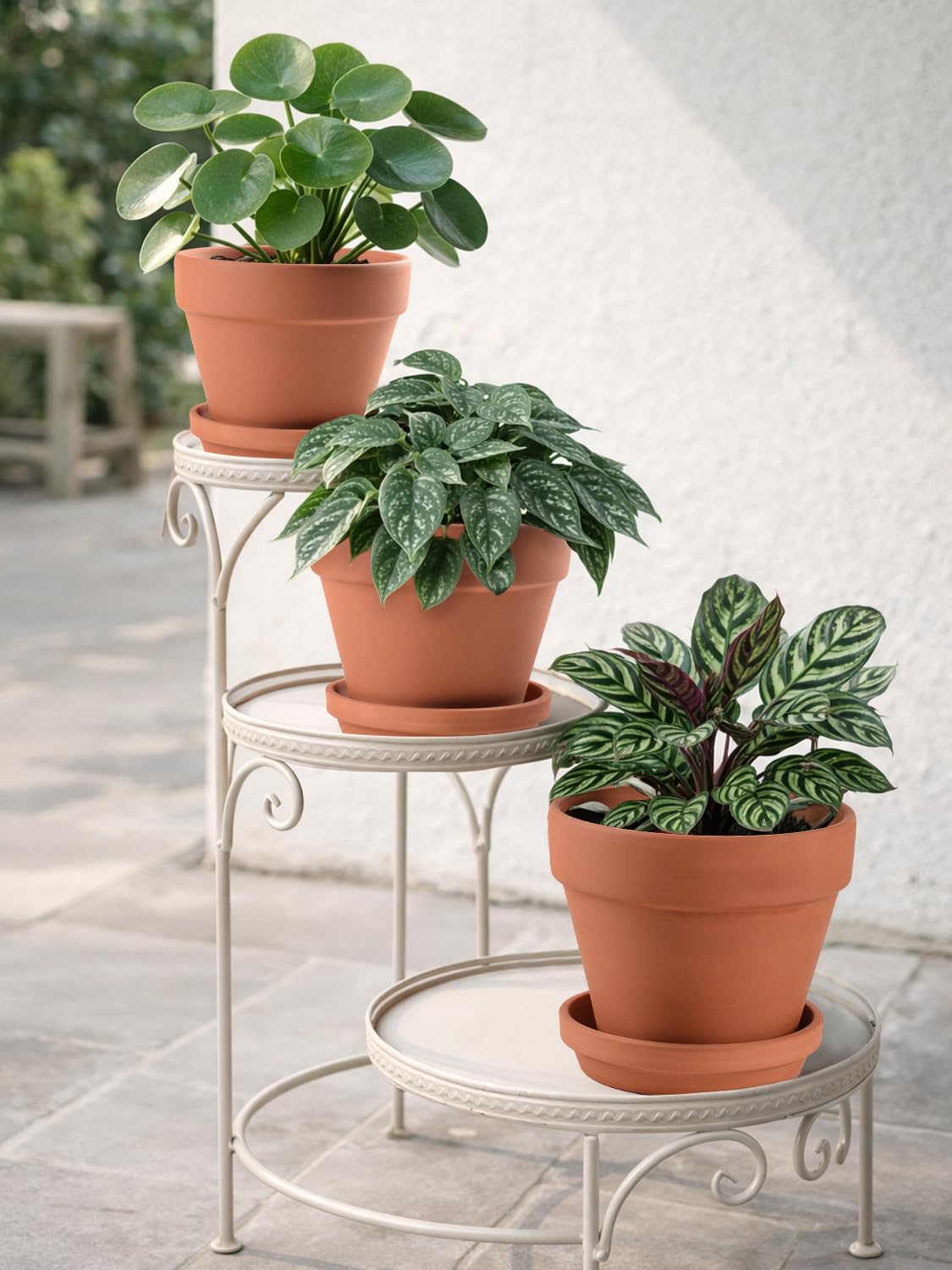 INGOFIN terracotta pots for indoor outdoor use suitable for gardens and porches.