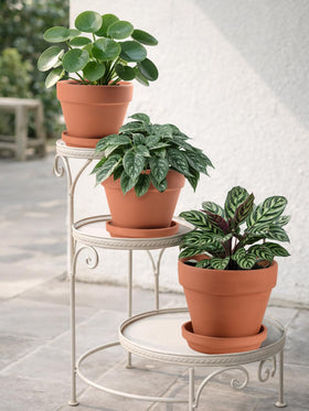INGOFIN terracotta pots for indoor outdoor use suitable for gardens and porches.