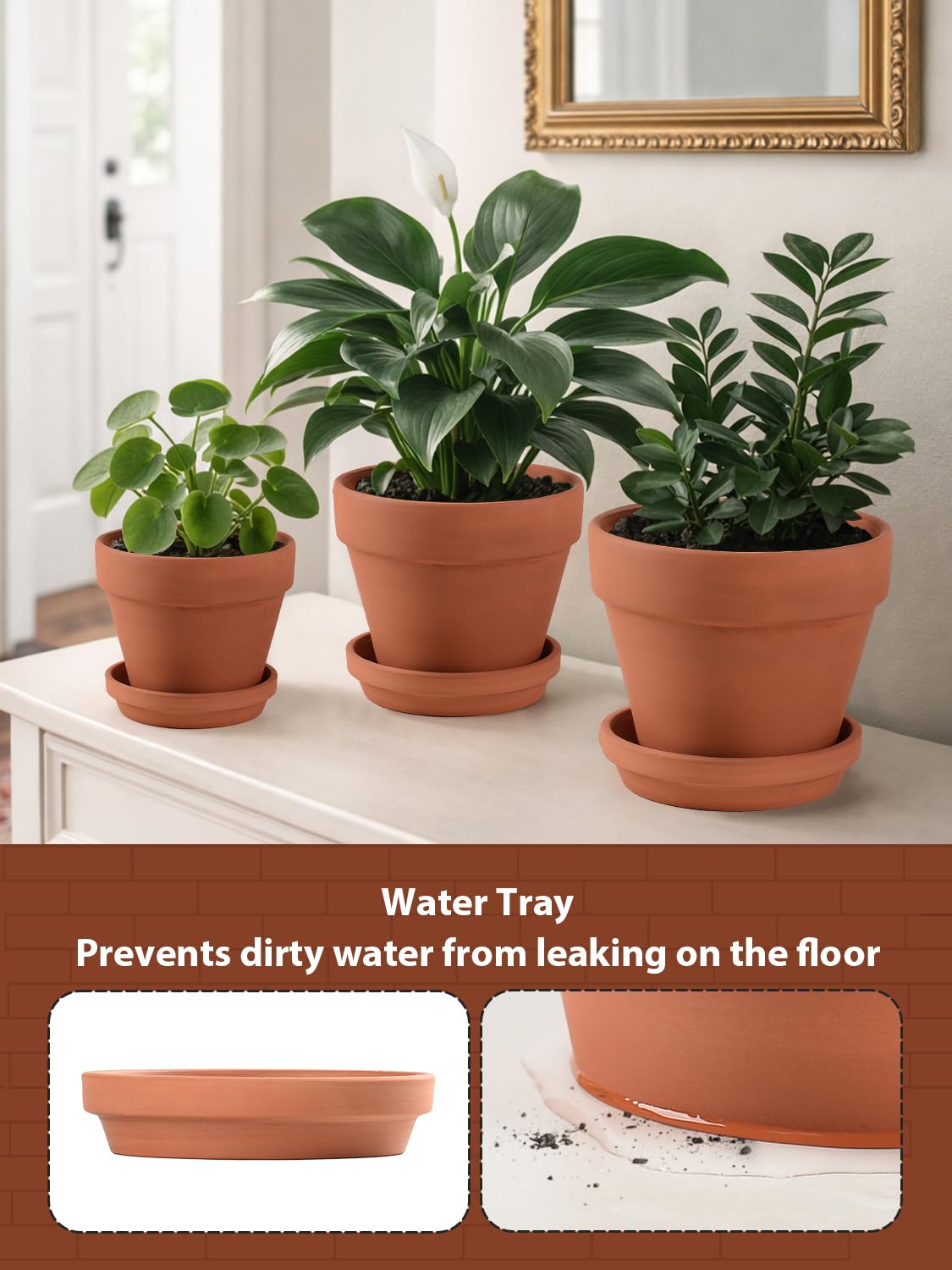 INGOFIN terracotta pots with saucer set ready for indoor tables and outdoor patios.