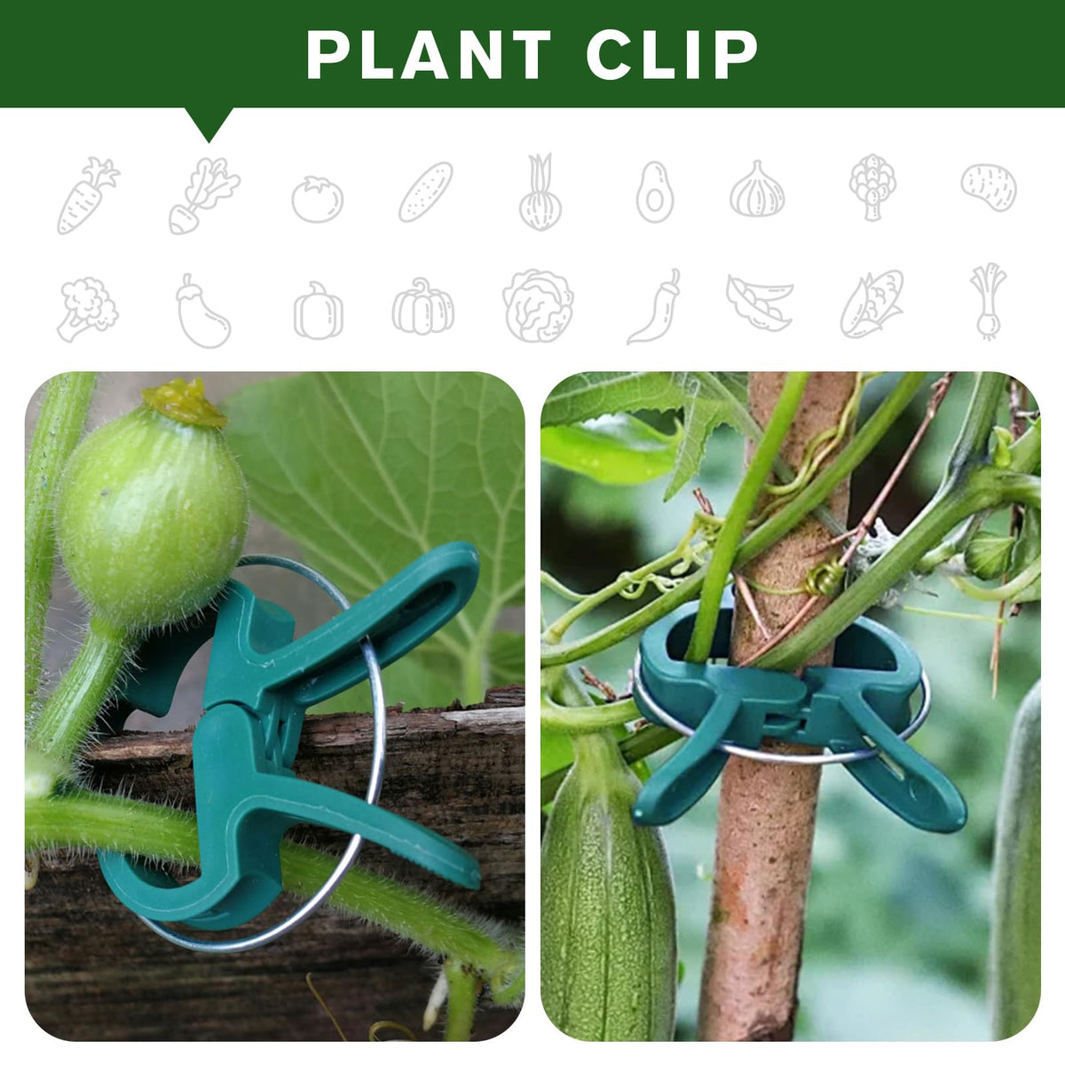 Iniscape universal clips on various plants like tomatoes and cucumbers.