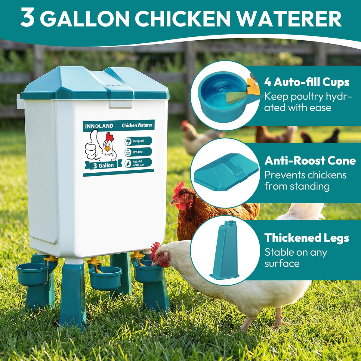 INNOLAND anti-drip cups keep the coop clean and prevent feed spills.