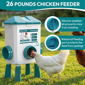 INNOLAND feeder with enlarged ports supports multiple birds eating together.