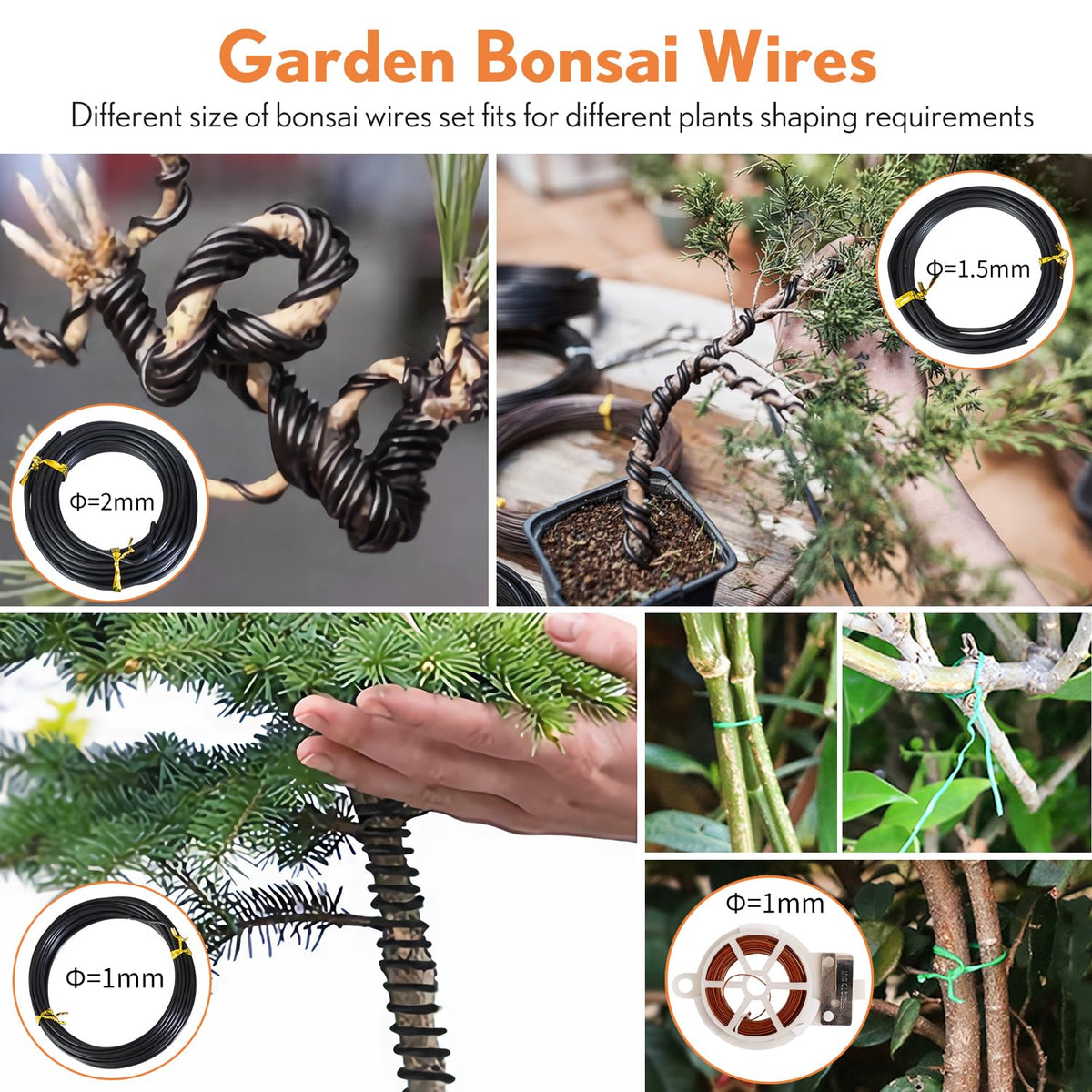 Inntop Bonsai scissors enable precise pruning and shaping with protective covers.