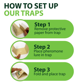 Insects Limited GreenWay six-pack provides versatile indoor protection.