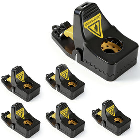Insoma 6-pack mouse traps in a compact set ready for quick home use