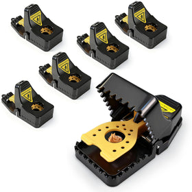 Insoma 6-pack mouse traps packaging, ready for quick deployment.