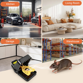 Insoma kitchen and garage placement for practical pest control