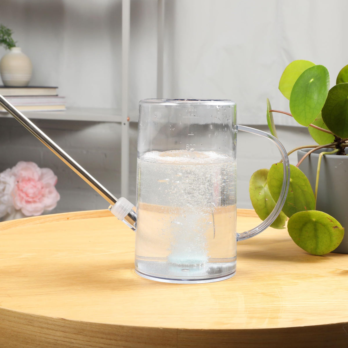 Instant Biologics feeding indoor tropical plants shows all-purpose nutrition for houseplants.