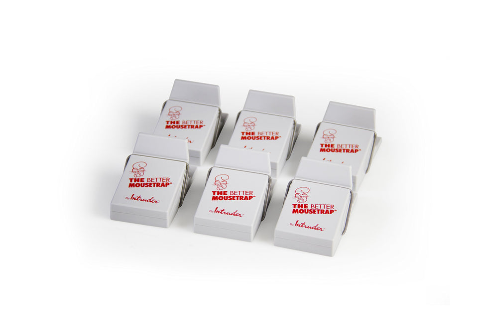 Intruder Better Mousetrap with precision stainless steel spring ensures secure capture.