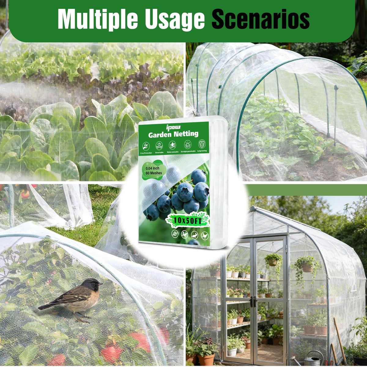 IPOW pest barrier protects berries and vegetables while letting sun and rain through.