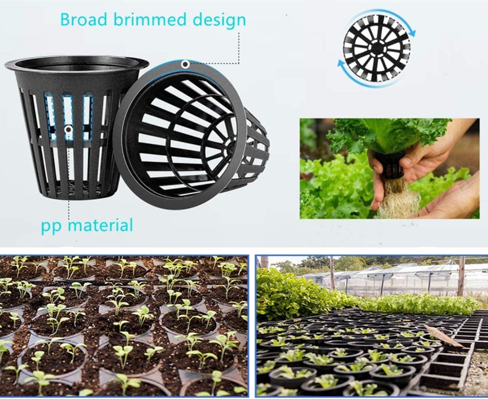 IPXEAD net cup in use in a hydroponic setup for healthy roots