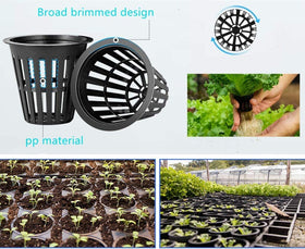 IPXEAD net cup in use in a hydroponic setup for healthy roots