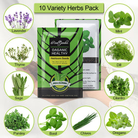 iRealgarden 10 herbs selection close-up featuring basil parsley cilantro and more