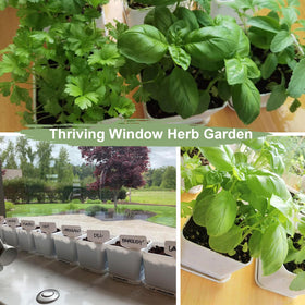 iRealgarden gift box packaging ideal for birthdays, holidays, or housewarmings