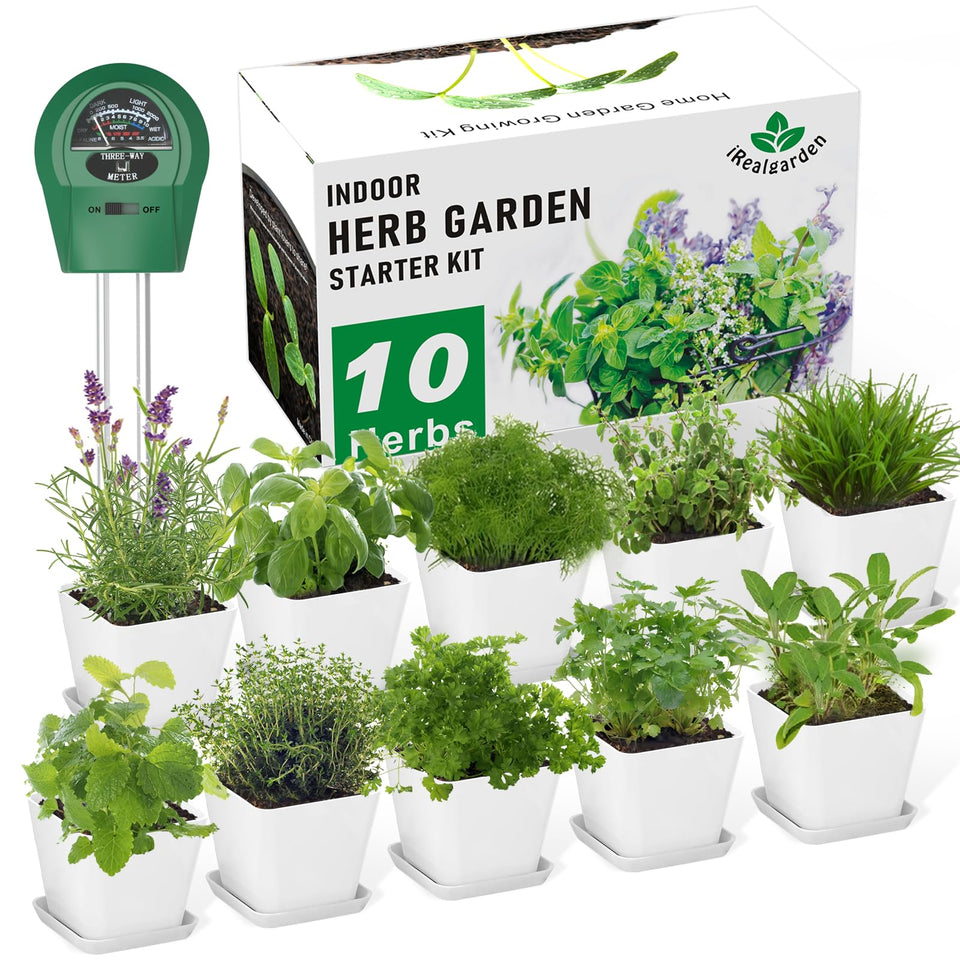 iRealgarden Indoor Herb Kit front view with components for easy windowsill growing
