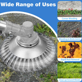 IRmm blade removing moss and rust from brick gaps