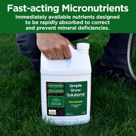 Iron, manganese, and zinc nutrients label emphasizes color and nutrient balance.
