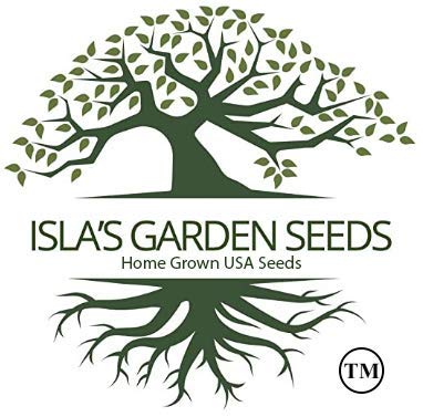 Isla's Garden Seeds Sunsugar cherry tomatoes quick to mature in 60–70 days
