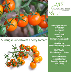 Isla's Garden Seeds Sunsugar tomato with indeterminate vines supports heavy harvests