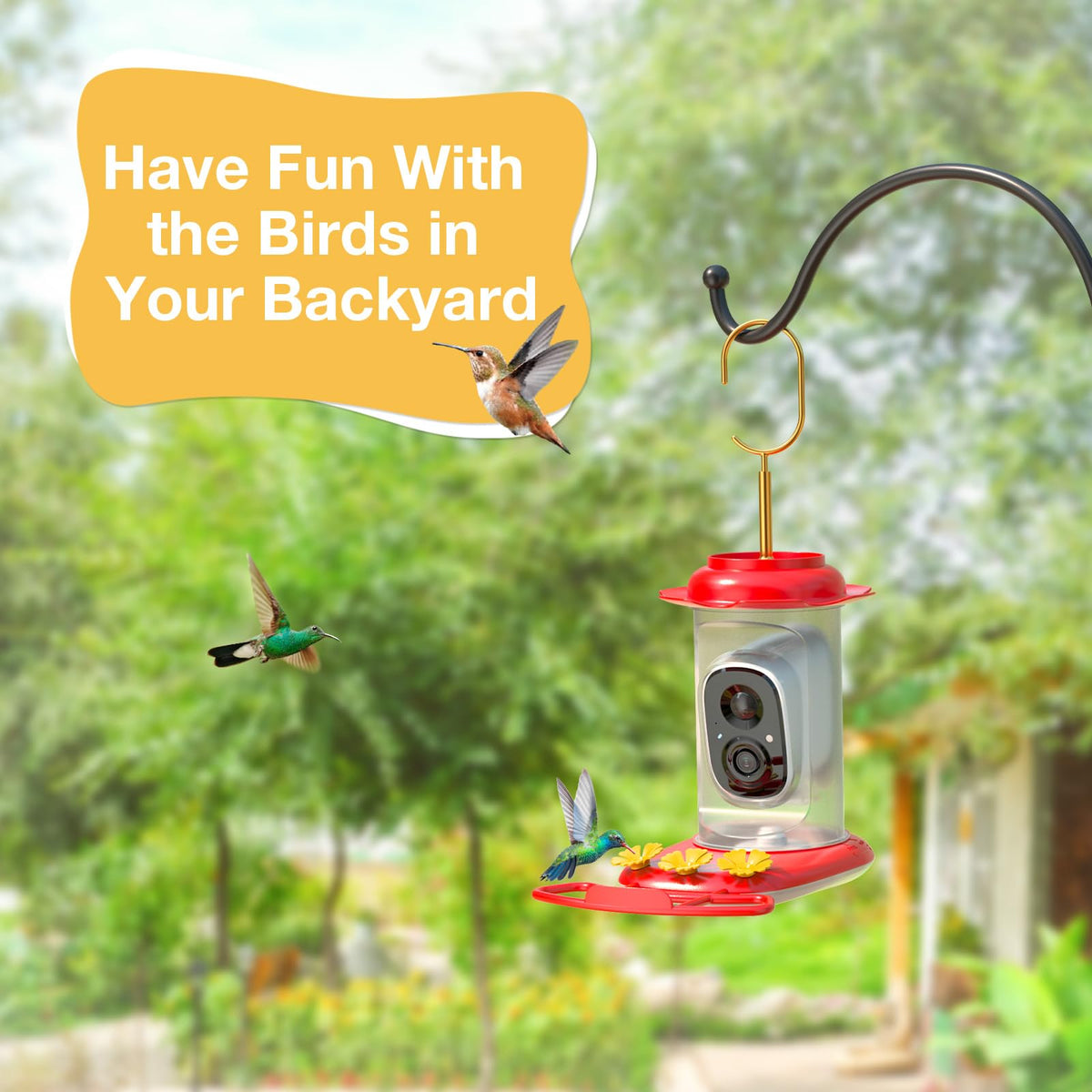 isYoung hummingbird feeder app live notifications provide instant alerts and video captures.