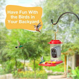 isYoung hummingbird feeder app live notifications provide instant alerts and video captures.
