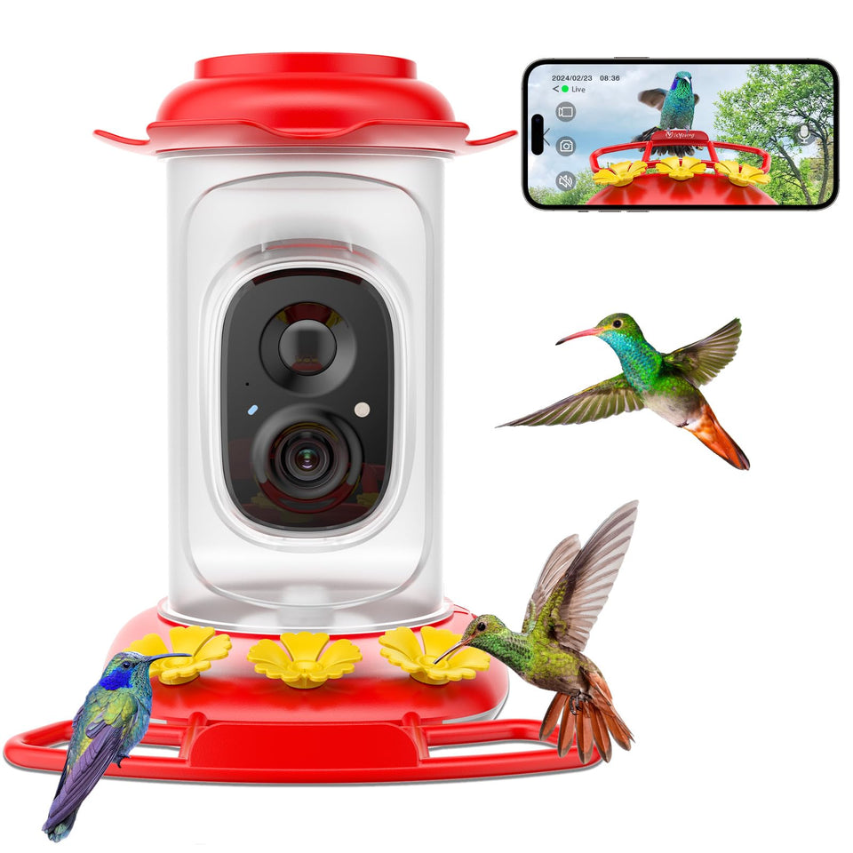 isYoung hummingbird feeder camera front view showcases easy observation of visiting birds.
