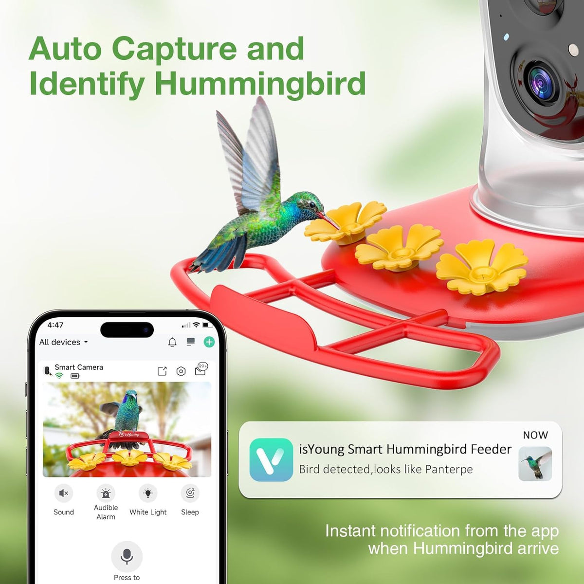 isYoung hummingbird feeder camera on nectar jar capturing vivid bird visits.