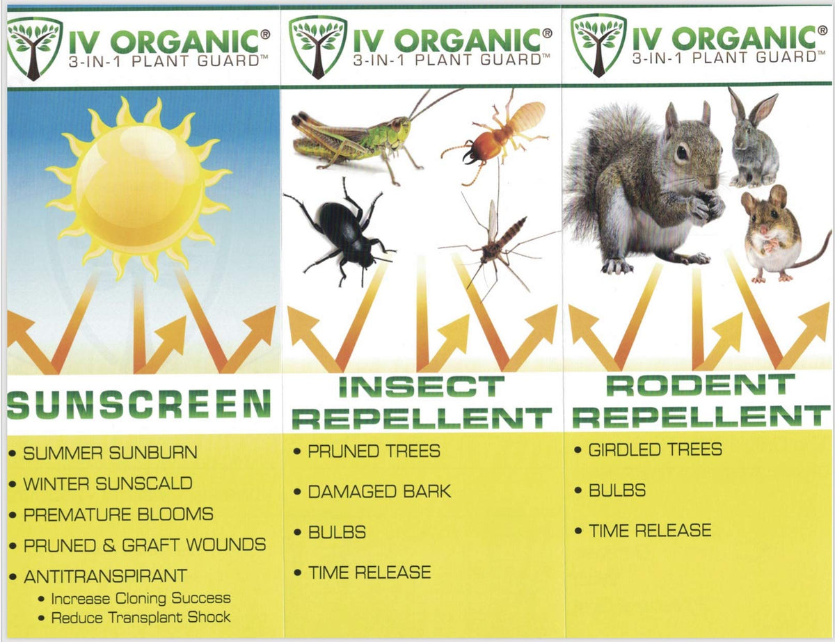 IV Organic 3-in-1 Plant Guard brush-on usage simplifies care for roses and shrubs.