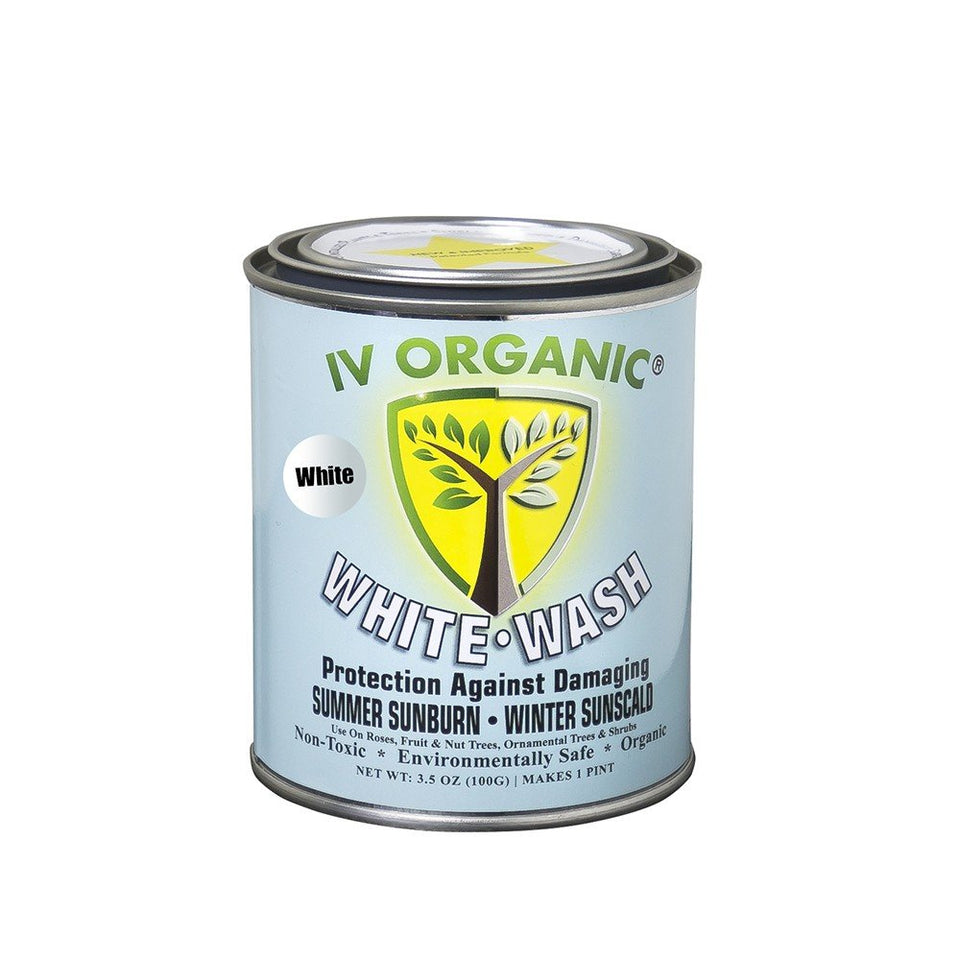 IV Organic White Wash bottle protecting sun-exposed fruit trees and ornamental plants.