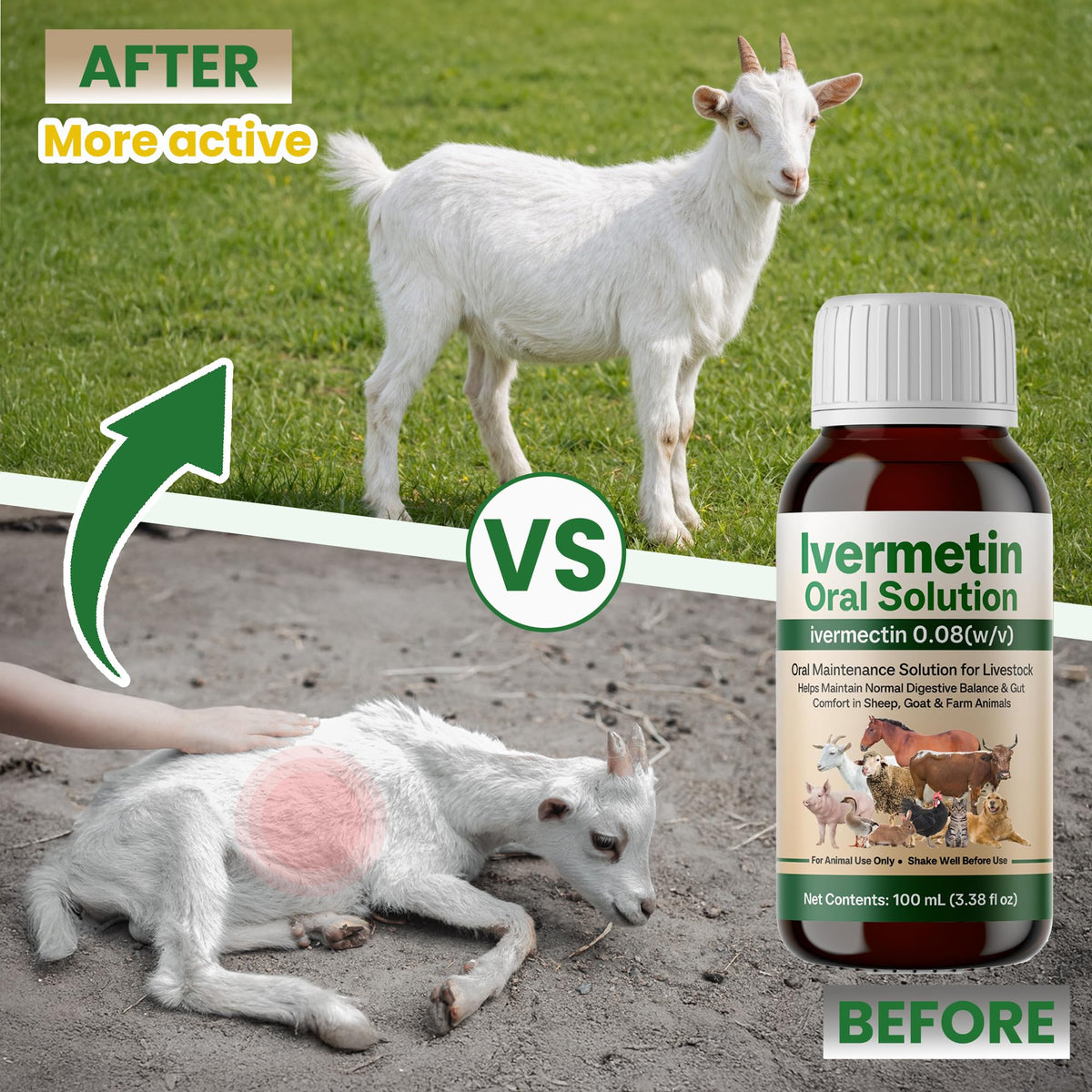Iverrnectiin ivermectin liquid for poultry aids easy administration across flocks