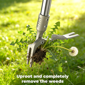 IVVIC 47-inch long-handle reach enables standing weed removal