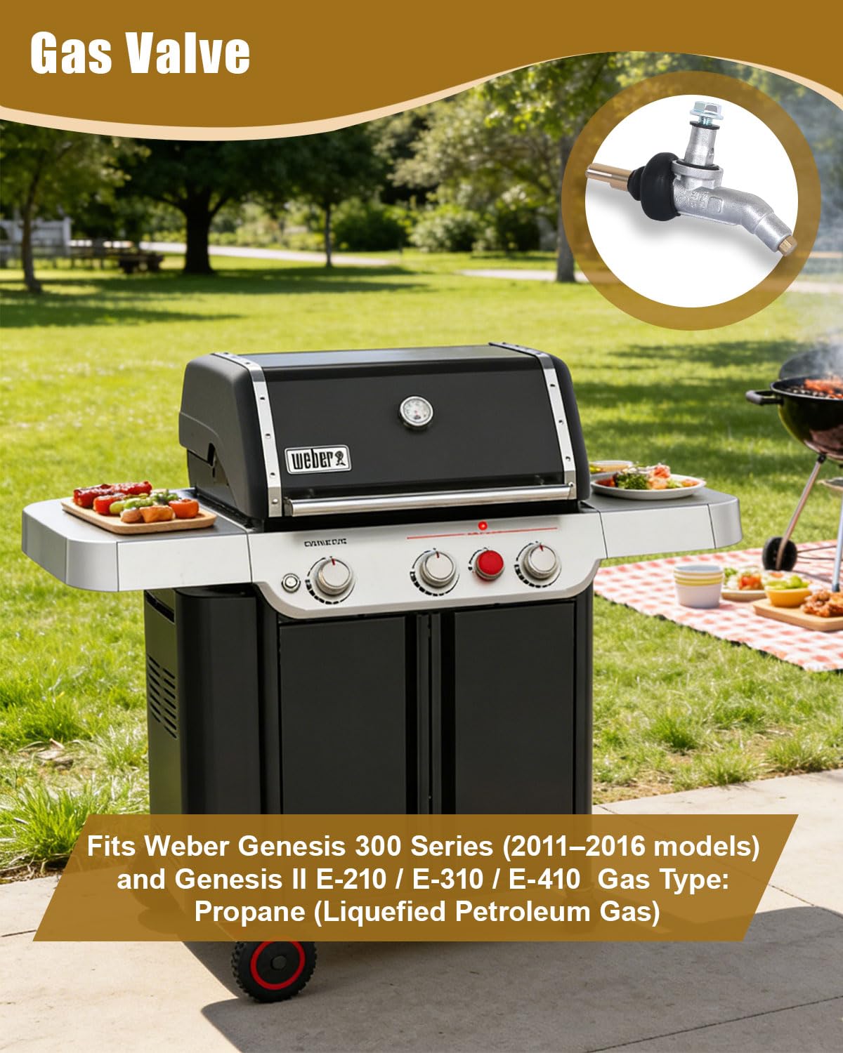IWWFDD LP-only valve supports propane grills for safe operation