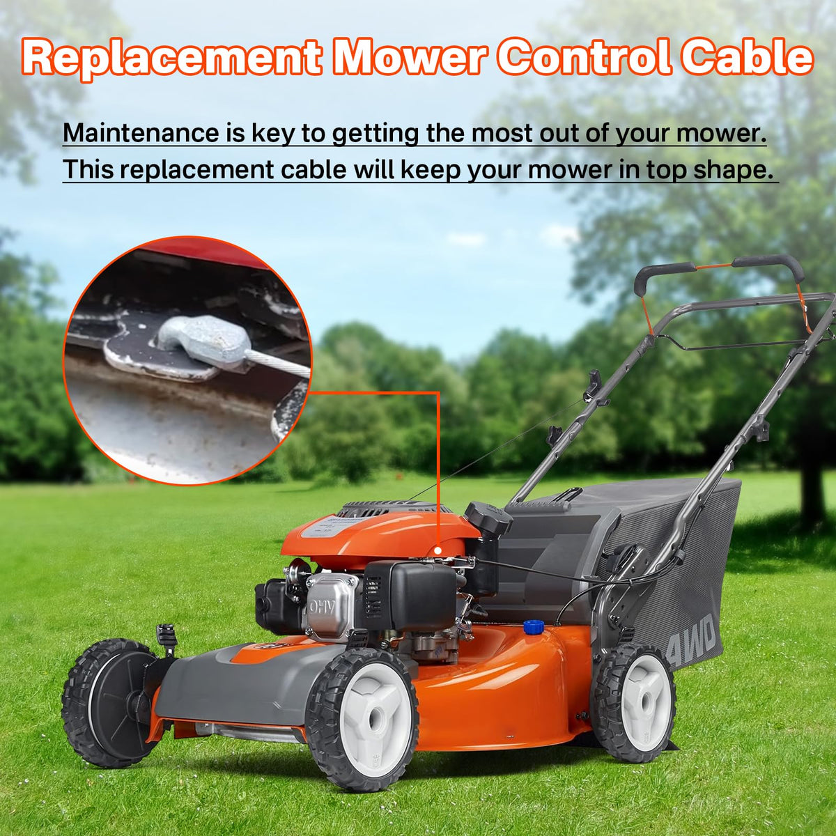IWIWE durable materials support regular lawn care performance