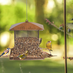 IWNTWY ideal for yard, garden, or balcony birdwatching moments.