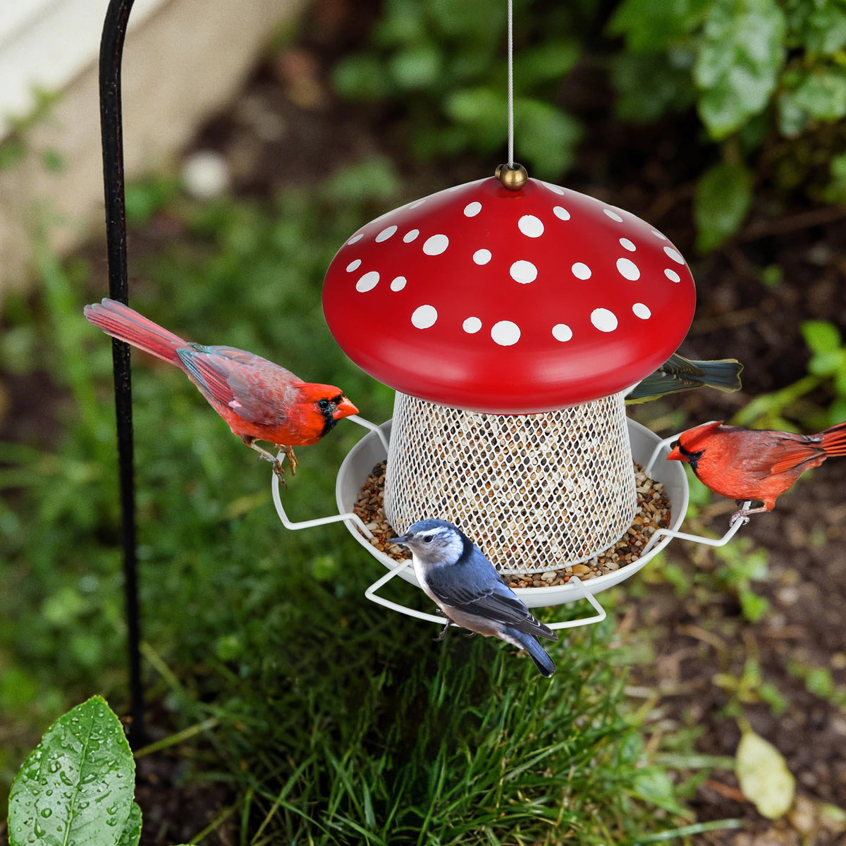IWNTWY Bird Feeder garden-friendly design brightens outdoor spaces.