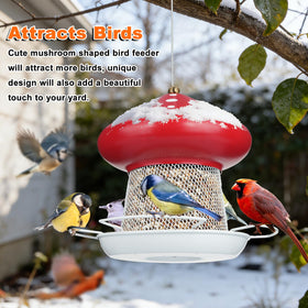IWNTWY Bird Feeder hanging setup demonstrates convenient outdoor placement.