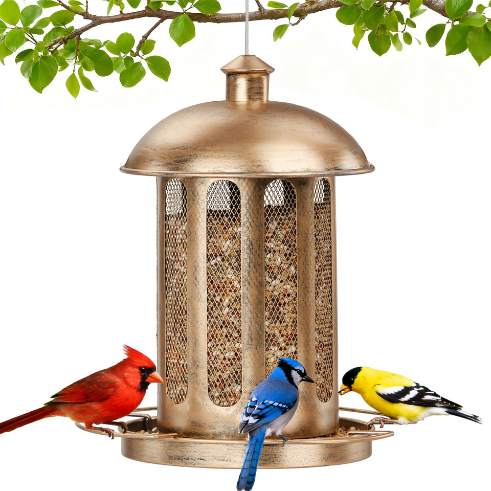 IWNTWY lantern-style bird feeder adds vintage charm while feeding birds.