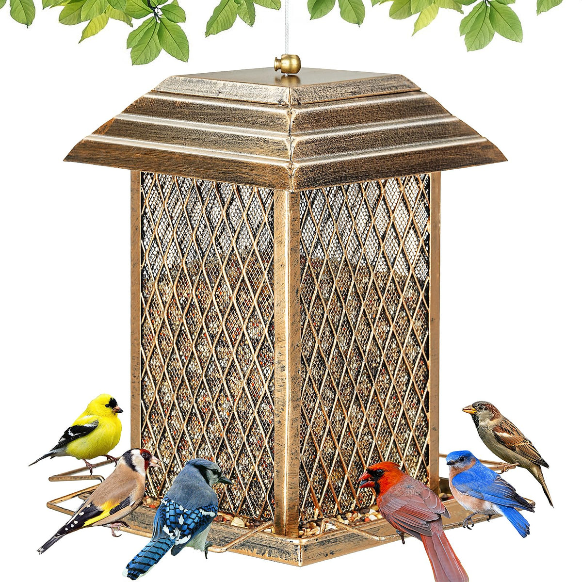 IWNTWY Bird Feeder lantern design attracts a variety of backyard birds