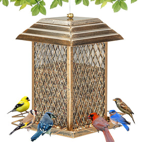 IWNTWY Bird Feeder lantern design attracts a variety of backyard birds