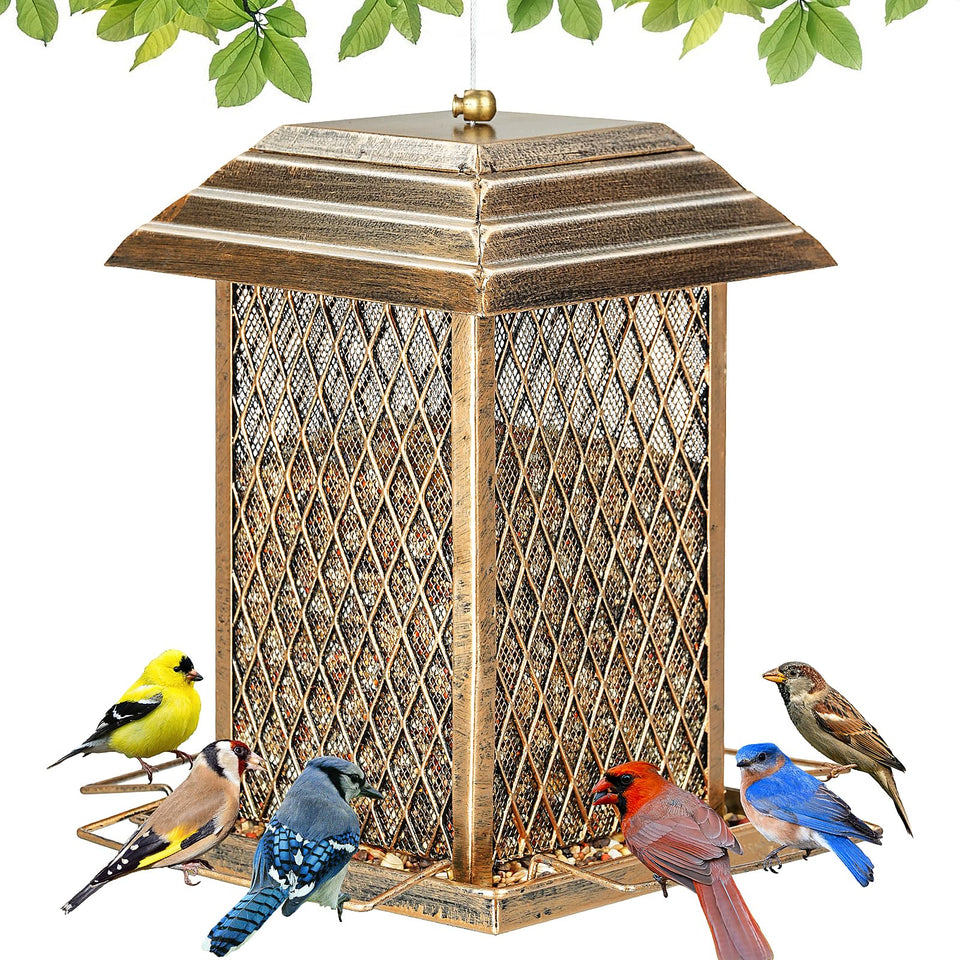 IWNTWY Bird Feeder lantern design attracts a variety of backyard birds